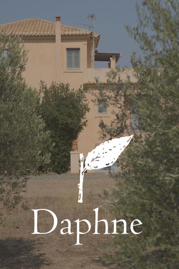 Daphne Villa Ermioni Exterior photo